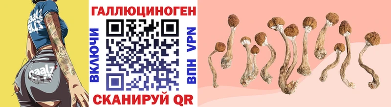 Псилоцибиновые грибы GOLDEN TEACHER Волчанск